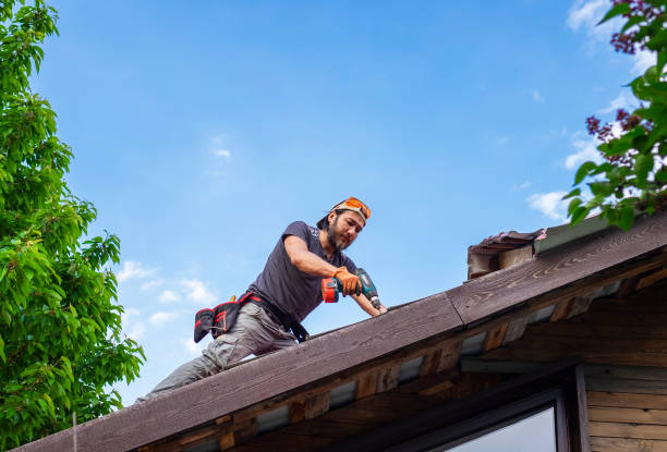 Best Metal Roofing Installation  in West Bishop, CA